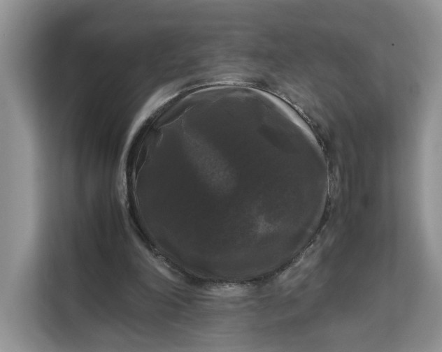 X0000111120198200907141157