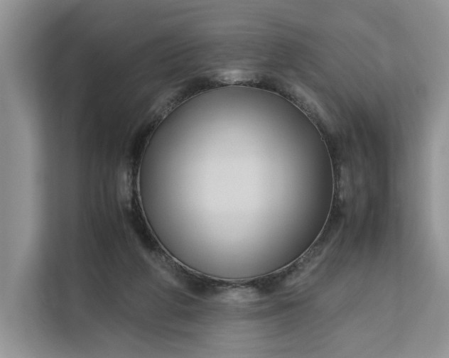 X0000111120210200907141157