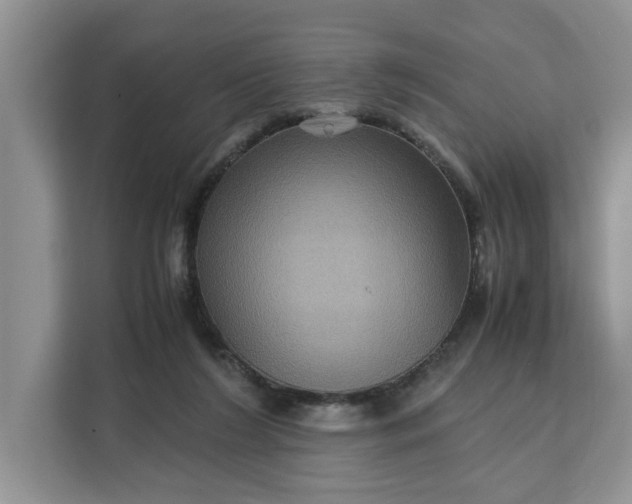 X0000111120212200907141157