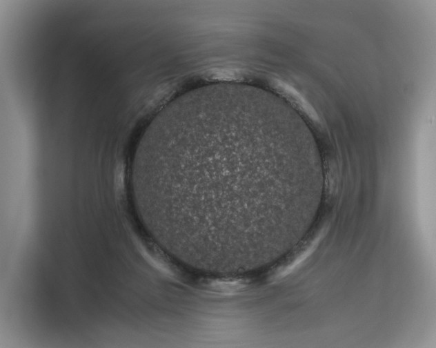 X0000111120213200907141157