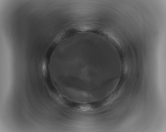 X0000111120214200907141157