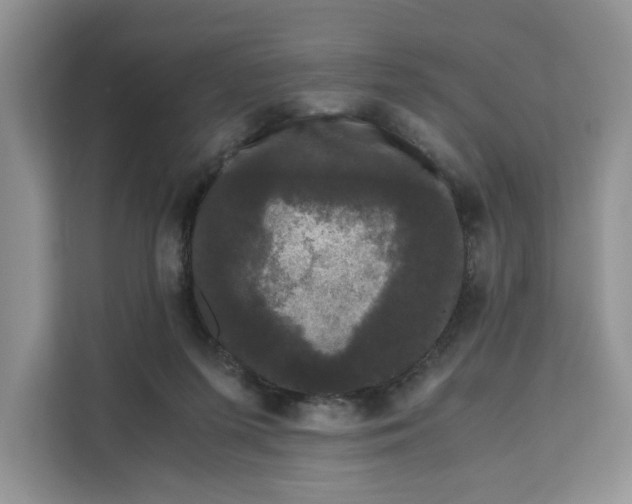 X0000111120215200907141157