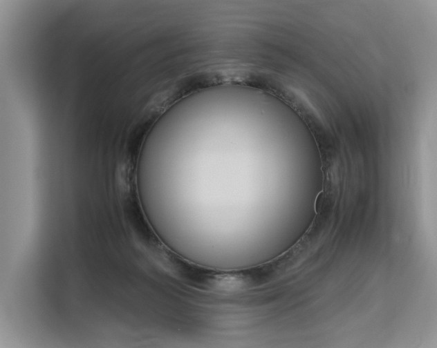 X0000111120218200907141157