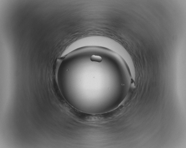 X0000111120223200907141157