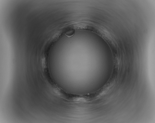 X0000111120224200907141157