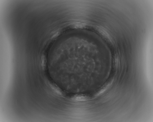 X0000111120228200907141157