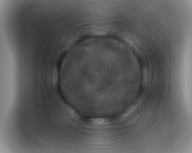 X0000111120230200907141157