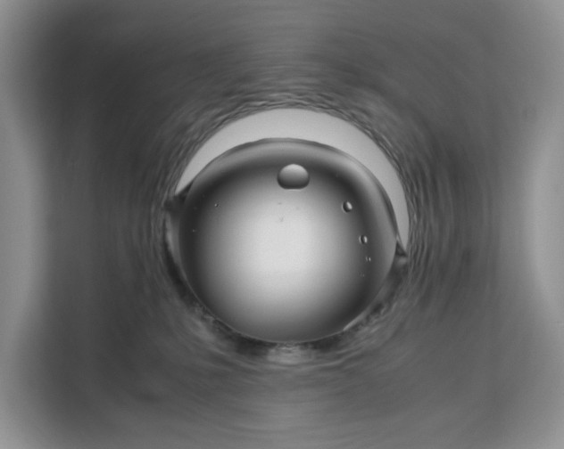 X0000111120231200907141157