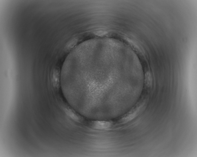 X0000111120234200907141157