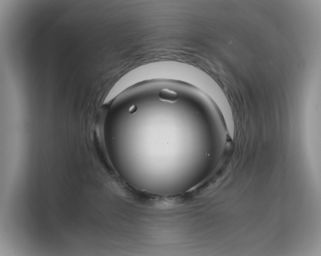 X0000111120235200907141157