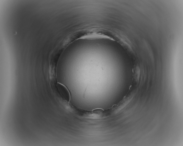 X0000111120236200907141157