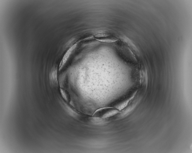 X0000111120238200907141157