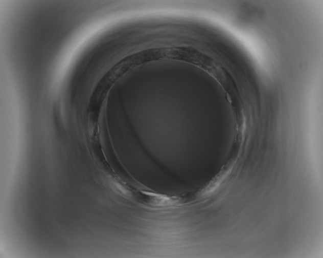 X0000111120239200907141157