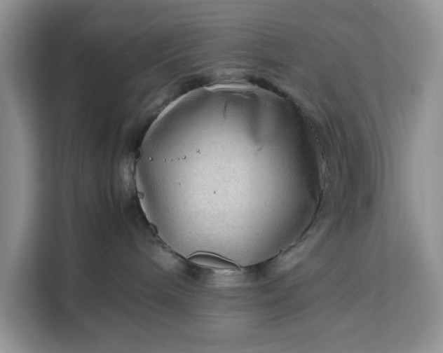 X0000111120240200907141157