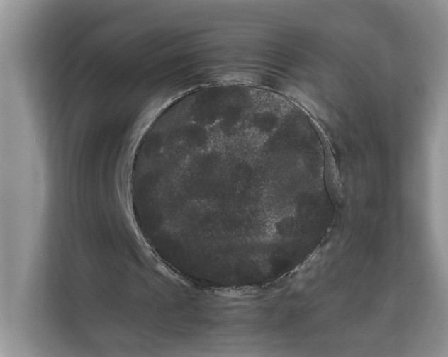 X0000111120241200907141156