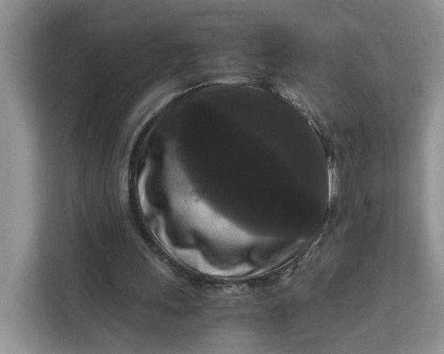 X0000111120243200907141156