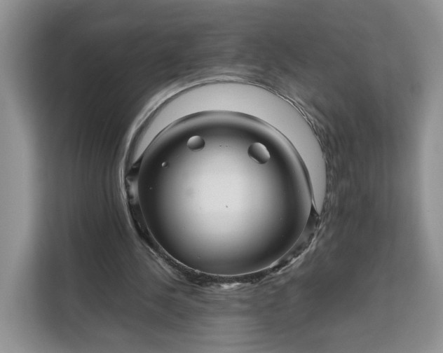 X0000111120244200907141156