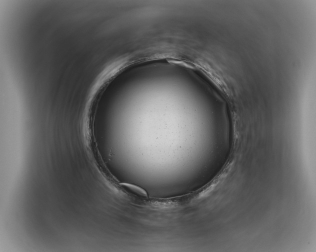 X0000111120245200907141156