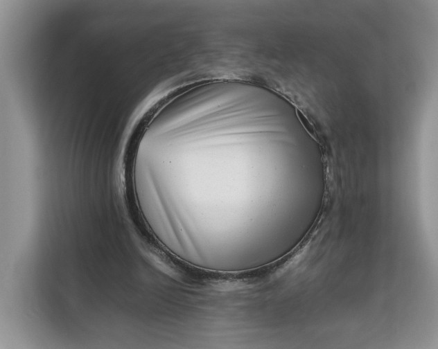 X0000111120246200907141156