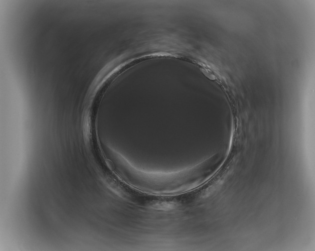 X0000111120247200907141156