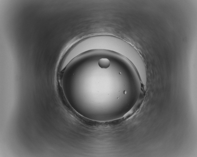 X0000111120248200907141156