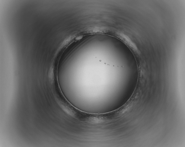 X0000111120250200907141156