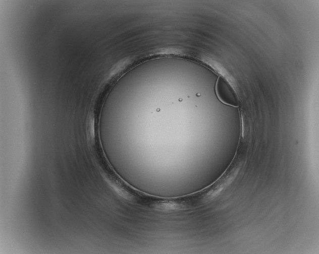 X0000111120253200907141156