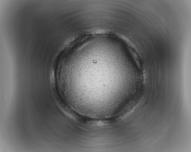 X0000111120254200907141156