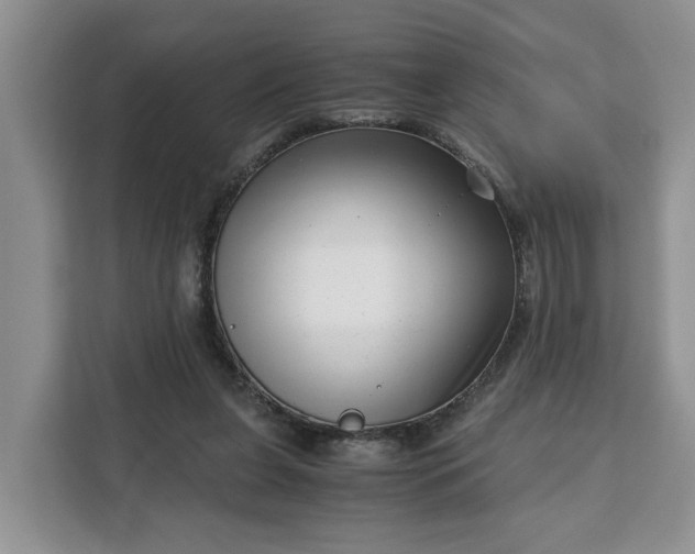 X0000111120255200907141156