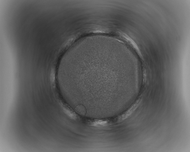 X0000111120257200907141156