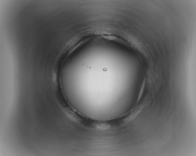 X0000111120258200907141156