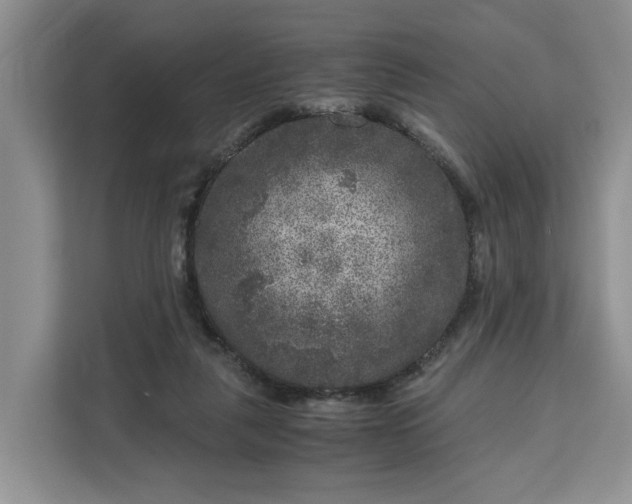 X0000111120259200907141156