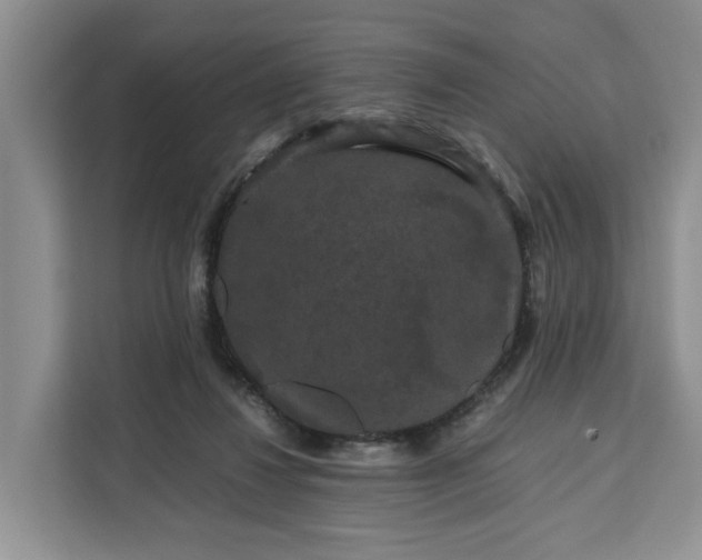 X0000111120260200907141156