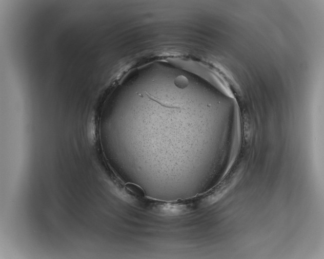 X0000111120261200907141156