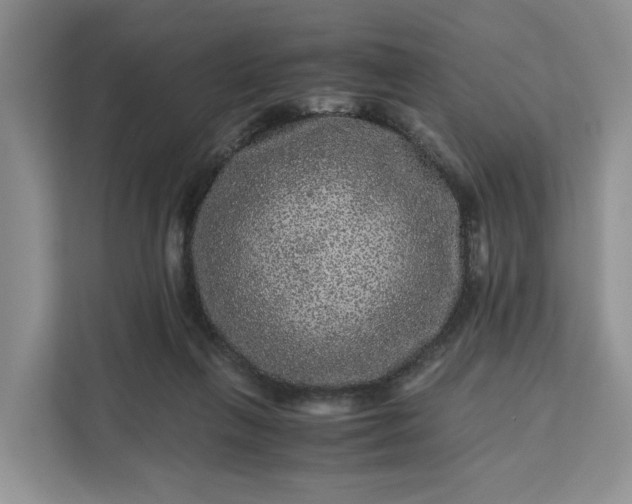 X0000111120263200907141156