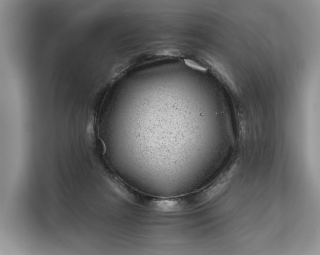 X0000111120265200907141156