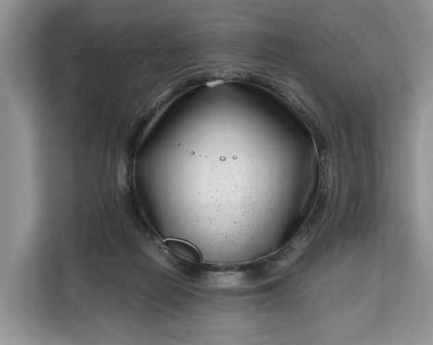 X0000111120266200907141157