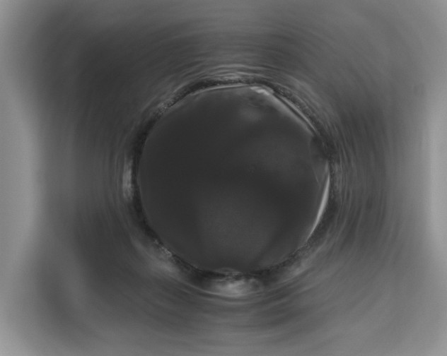 X0000111120267200907141157