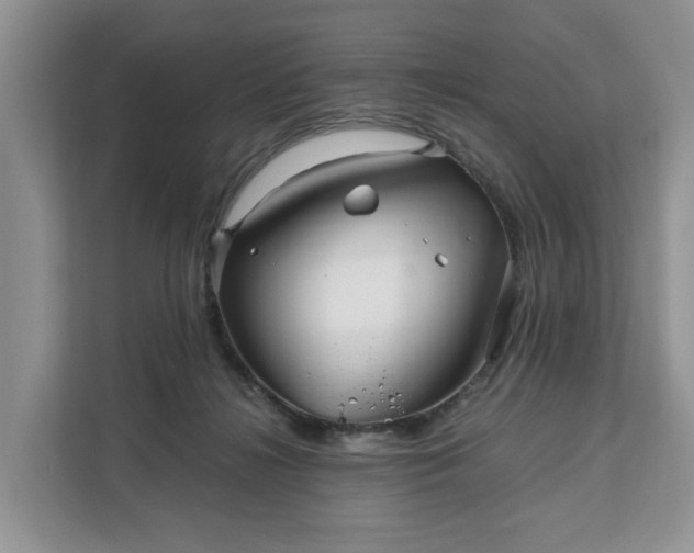 X0000111120268200907141157