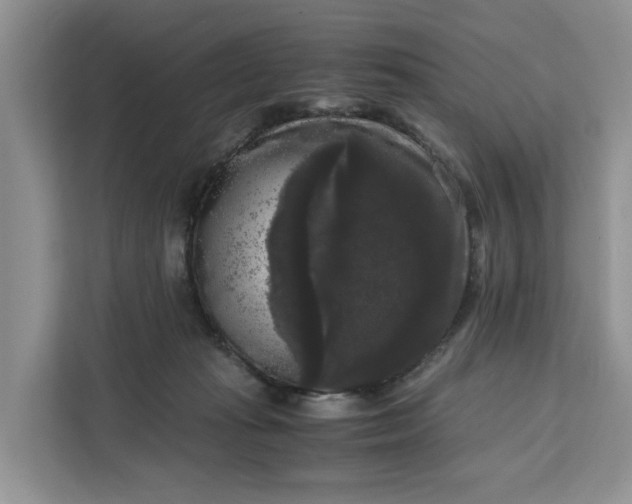 X0000111120269200907141157