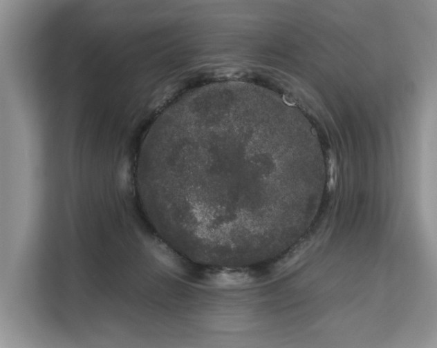 X0000111120270200907141157