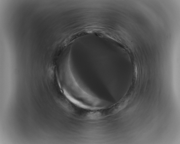 X0000111120271200907141157