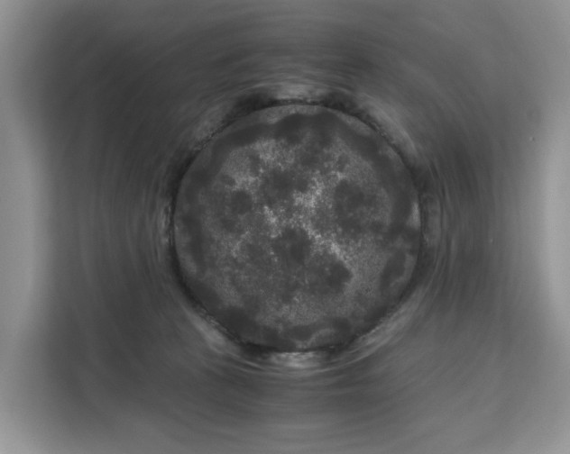 X0000111120273200907141157