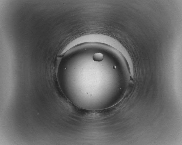 X0000111120276200907141157