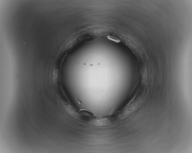 X0000111120278200907141157