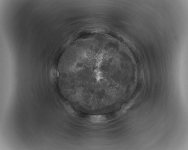 X0000111120281200907141157