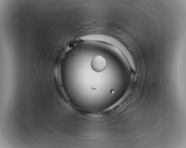 X0000111120284200907141157