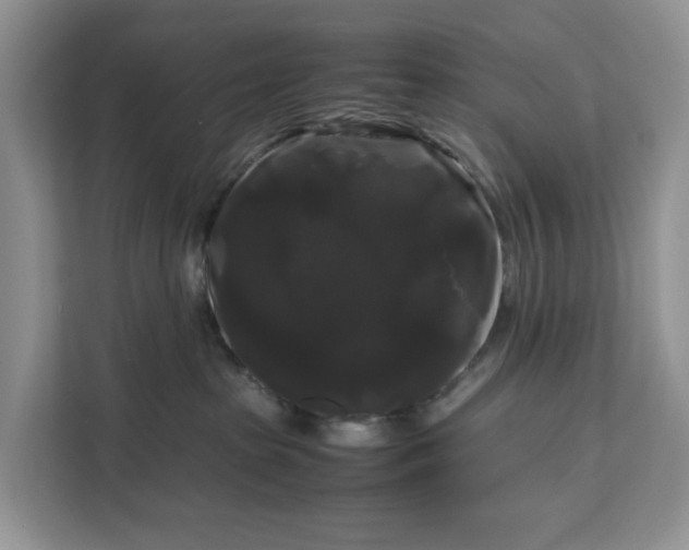 X0000111120285200907141157