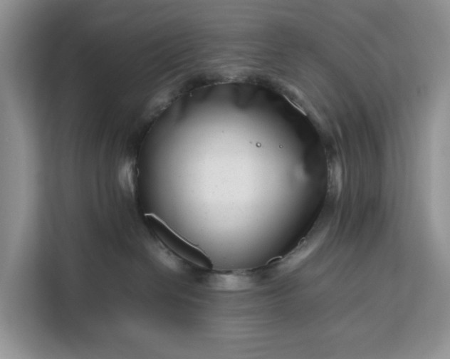 X0000111120286200907141157