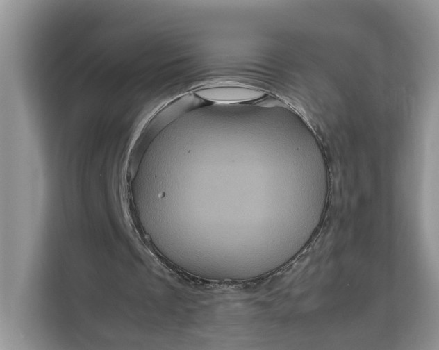 X0000111120289200907141156